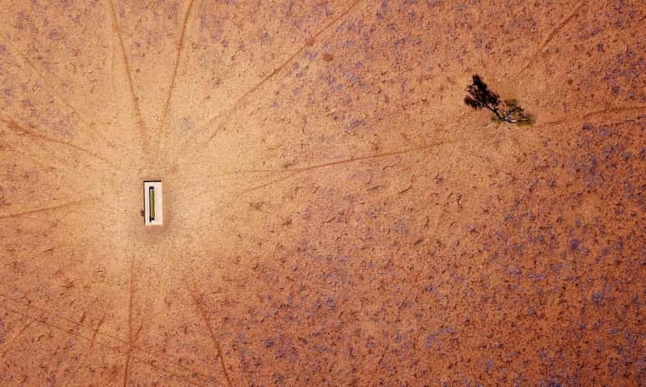 A lone tree stands in a drought-affected paddock in New South Wales, Australia.