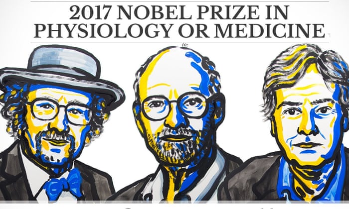 Image result for Scientists awarded Nobel Prize in Medicine discover mechanisms behind the biological clock