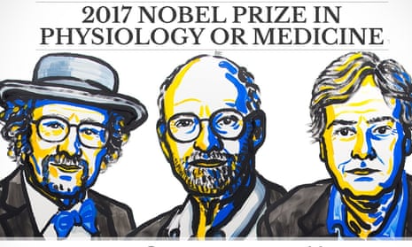 The American scientists Jeffrey C Hall, Michael Rosbash and Michael W Young, who have won this year’s prize.