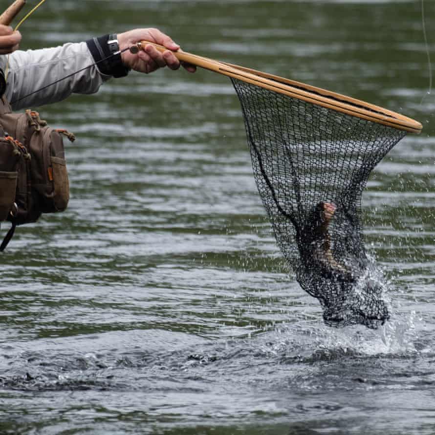 Alvdalen, Sweden: After a dry spell Micke changed the fly to one microscopically larger and landed four in a row. Why that one? ‘A hunch,’ he says.