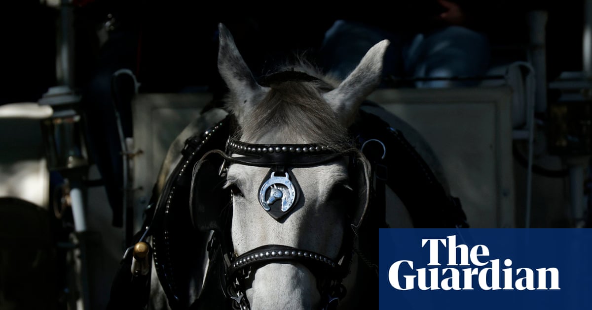New York city council votes to ban horse-drawn carriage rides