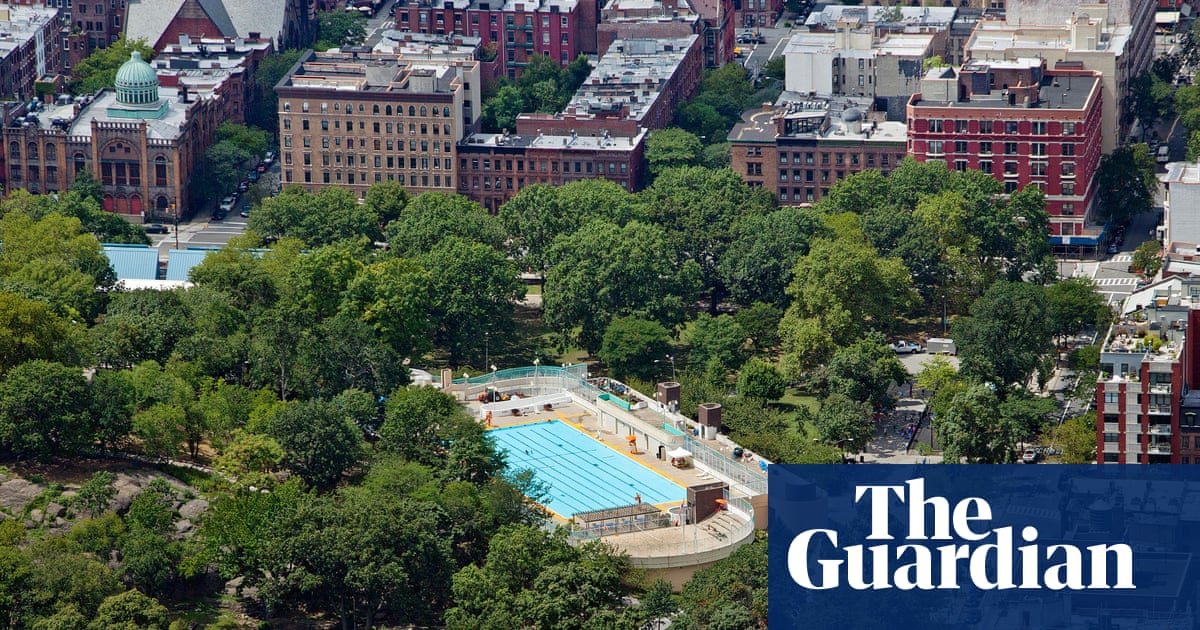 ‘The tree is trying its best’: why New Yorkers are counting – and rating – every park tree