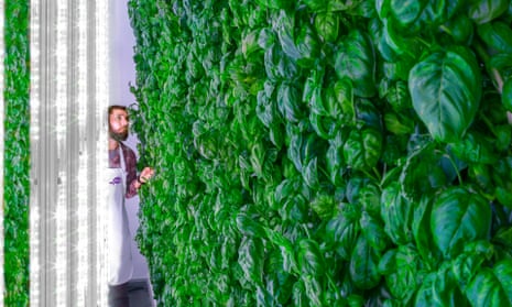 Plenty, a vertical farm and startup in San Francisco, aims to tackle the challenge of feeding a fast-growing world. 