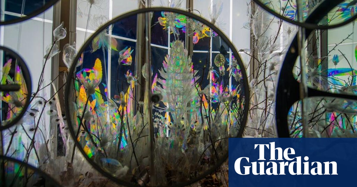 Skunk Control Prevaricated Frequencies The Guardian Skunk Control Prevaricated Frequencies The Guardian