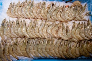 White Spot outbreak in Australia