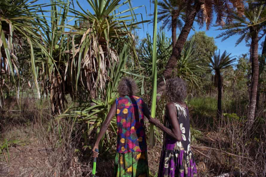 Evonne Munuyngu and Mary Dhalapany look for pandanus leaves in Mungbirri