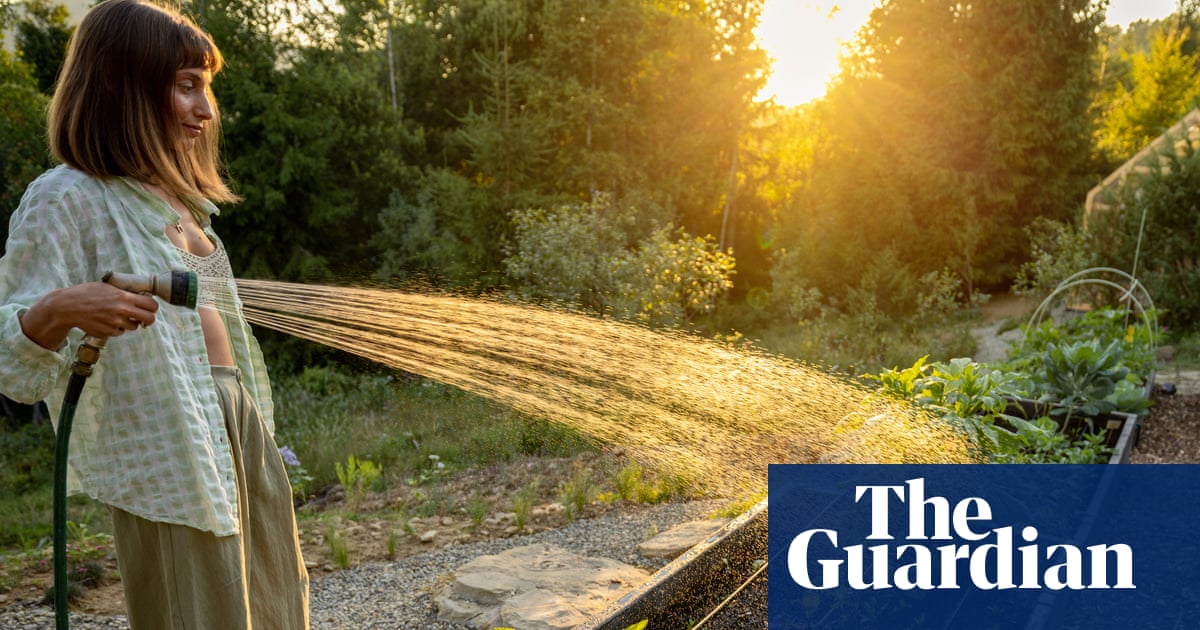 ‘Lawns don’t need watering!’ How to garden in a heatwave, from recycling bathwater to making the most of shade