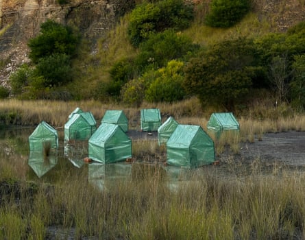 A cluster of small tent-like greenhouses in a green landscape
