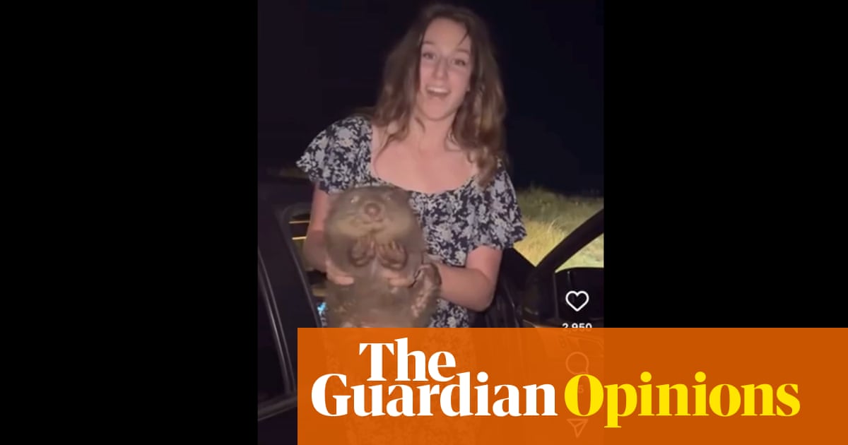 Attacking a young tourist over her treatment of a wombat is hypocritical – and misses the point | Georgie Purcell