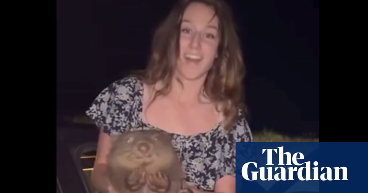 Baby wombat-snatching US influencer apologises and says she was ‘concerned’ for Australian animal | Wildlife Baby wombat-snatching US influencer apologises and says she was ‘concerned’ for Australian animal | Wildlife