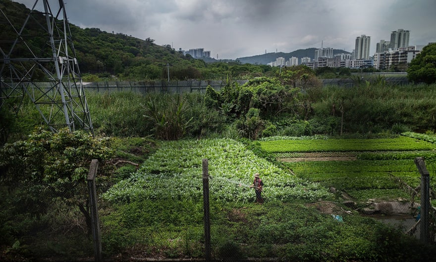 A farmer waters his crops in what little rural land remains between Shenzhen and Hong Kong.
