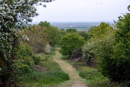 RSPB Northward Hill in Kent