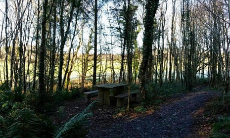 Boduan Sanctuary Wood