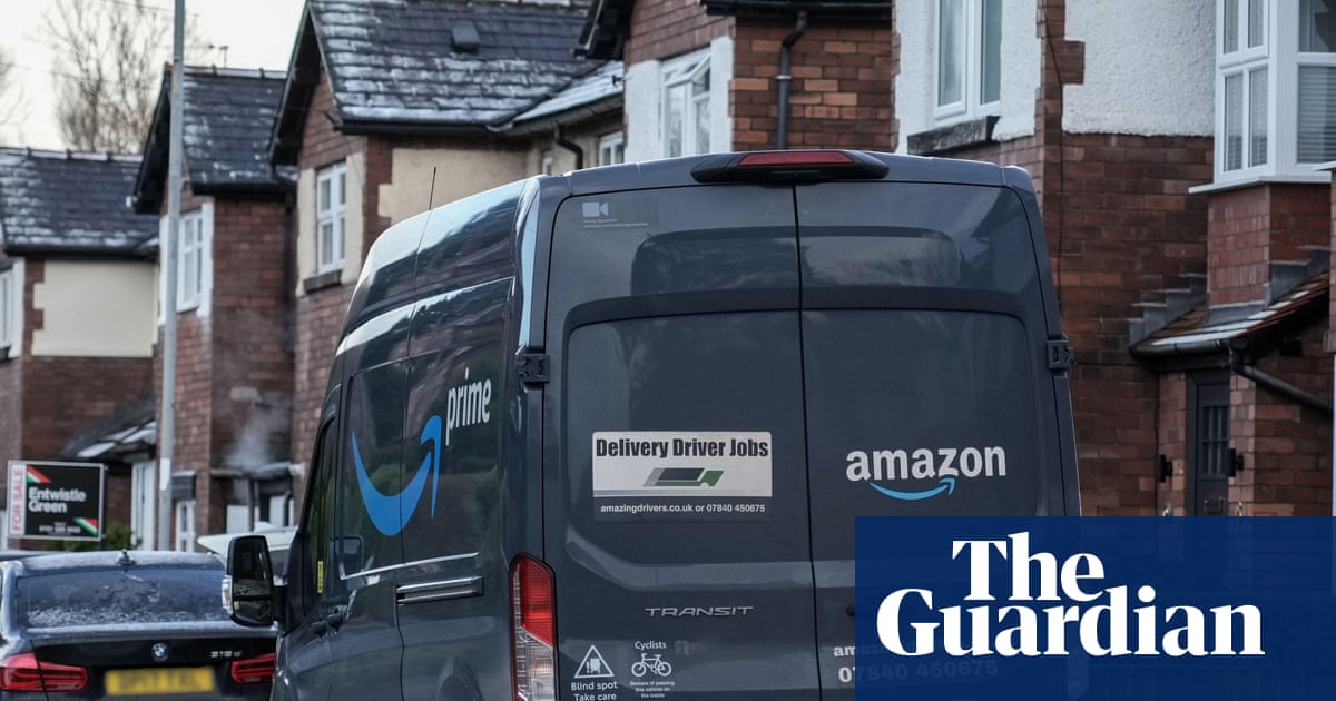 Amazon ‘cat burglar’ filmed stealing pet from Yorkshire doorstep