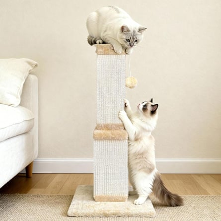 a photo of Agym Cat Scratching Post