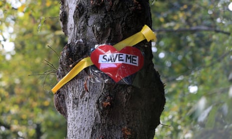 The £2bn tree-felling programme under a PFI contract has met fierce opposition. 