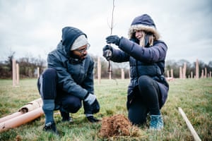 Two people plant a tree in a grass field