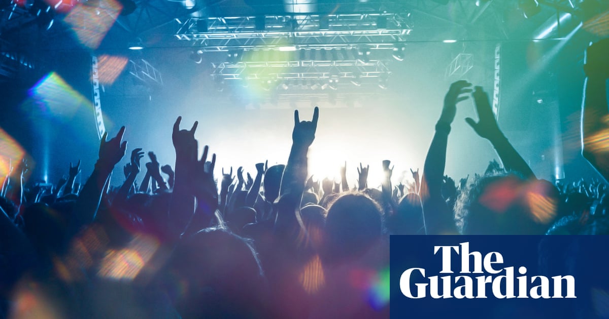 Music festivals call for new government scheme as sector faces ruin