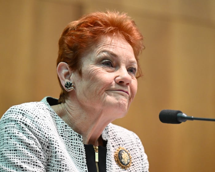 One Nation’s health policies based on misconceptions and may cost the taxpayer, experts warn