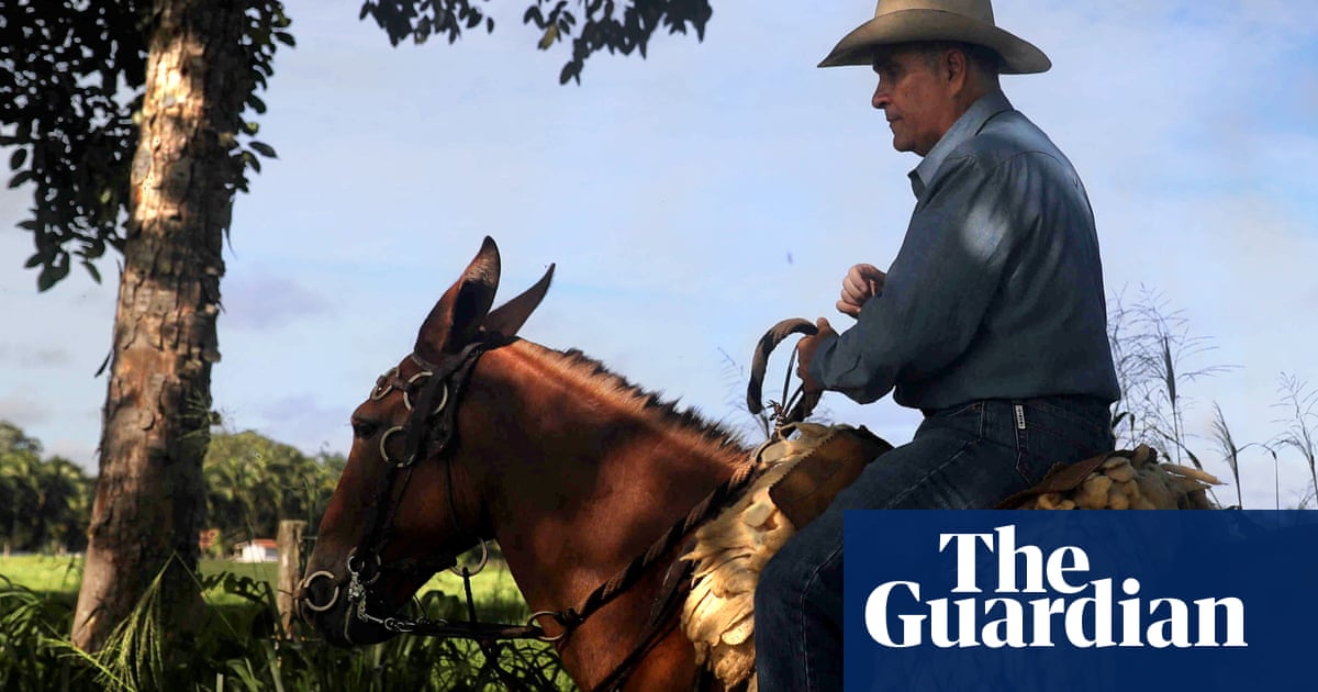 Bibles, bullets and beef: Amazon cowboy culture at odds with Brazil's climate goals