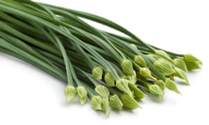 La cocina de realizar múltiples tareas simultáneamente: la hoja de cultivos que son verduras y hierbas 1 A bunch of the long stems and buds of Chinese garlic chives