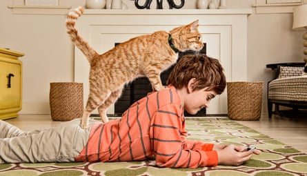A teenage boy lies on a carpet, propped up on his elbows, texting, with a cat on his back