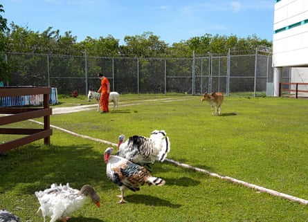 Peter Faraco, a then-inmate in the Monroe County Detention Center, with several animals in the jail’s on-site zoo in July 2021
