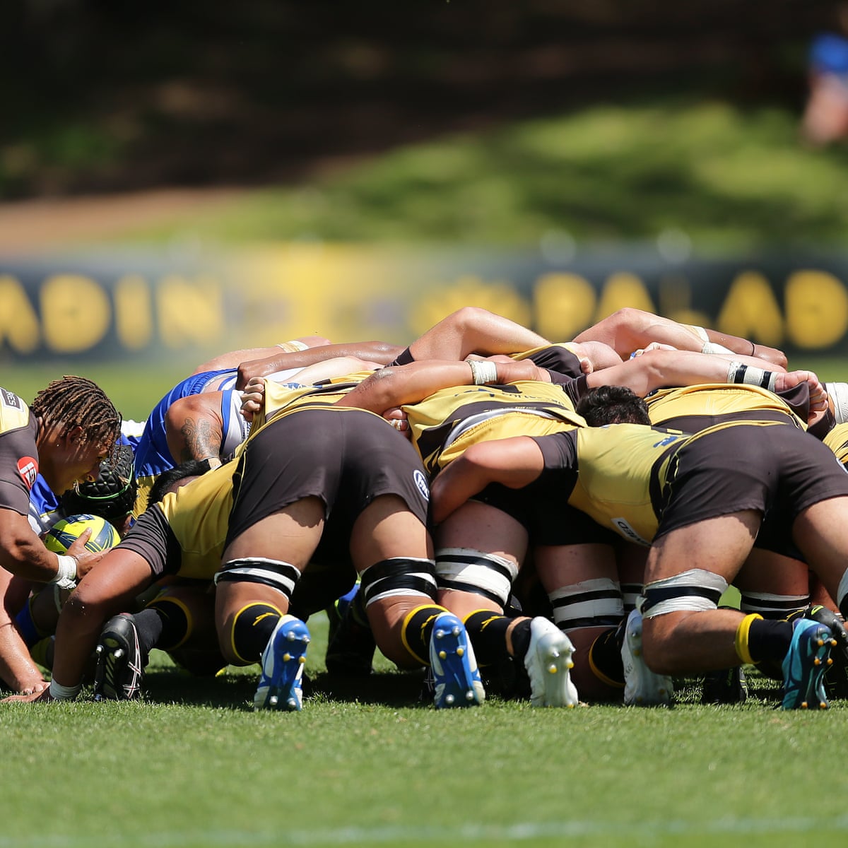 rugby