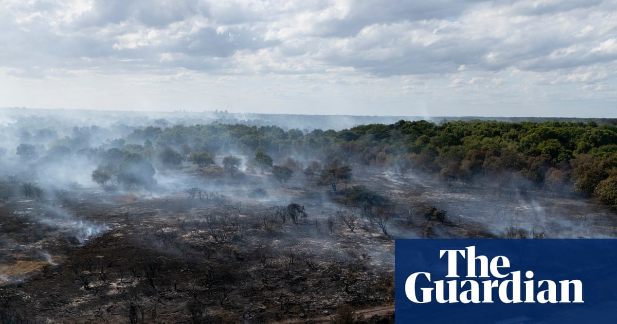 England wildfire preparation scheme was never implemented, FOI reveals