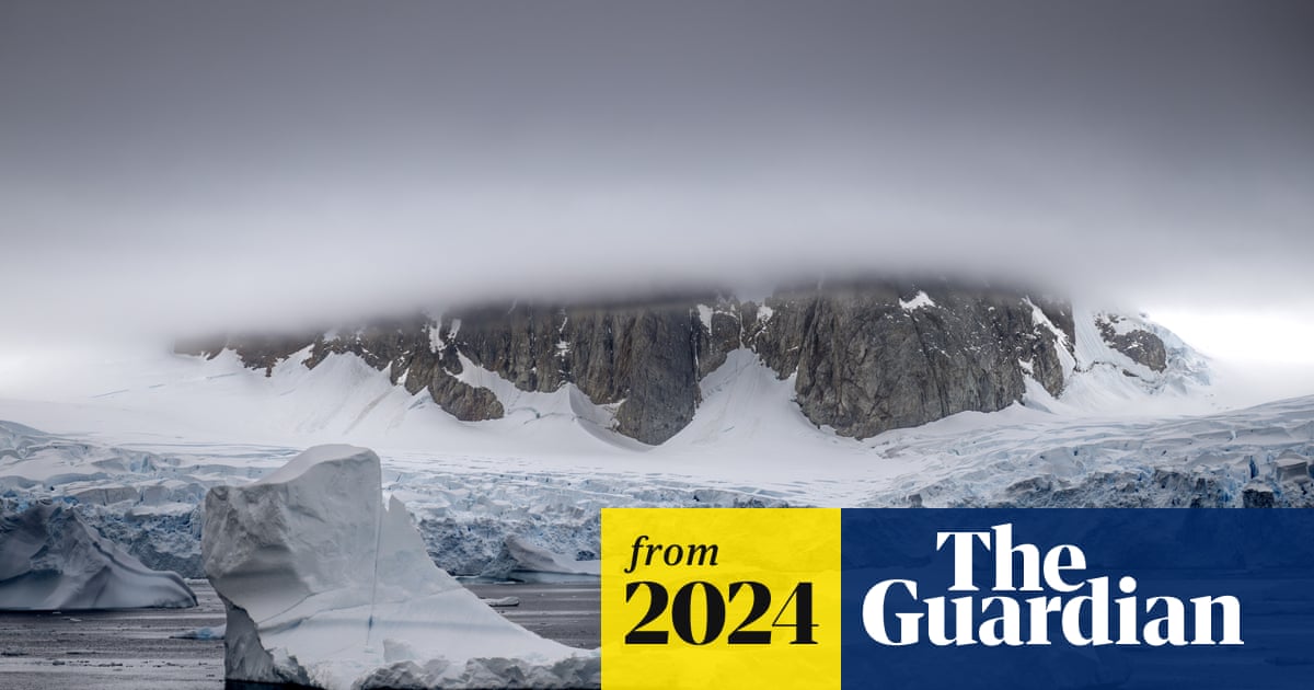 www.theguardian.com