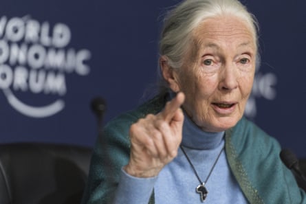 Dr Jane Goodall at the World Economic Forum in Davos, Switzerland, in February.