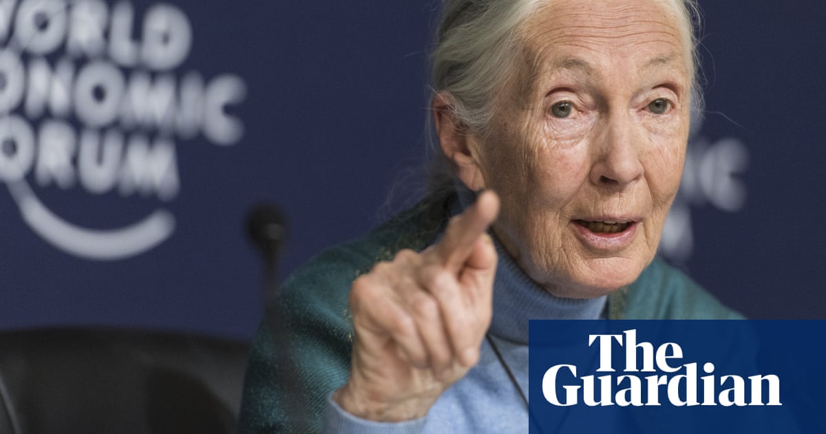 Jane Goodall: humanity is finished if it fails to adapt after Covid-19