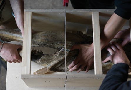 Like body-in-the-trunk murder scenes … at work in Danh Vo’s studio in Germany.
