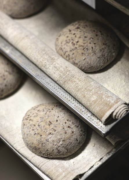 Loaves of flaxseed dough await.