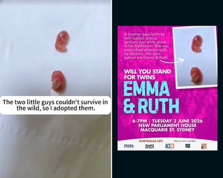A composite of two screenshots: the first from a video by TikTok user germainmaur showing two rescued baby sugar gliders (left), and the second from an X post from Joanna Howe (right)