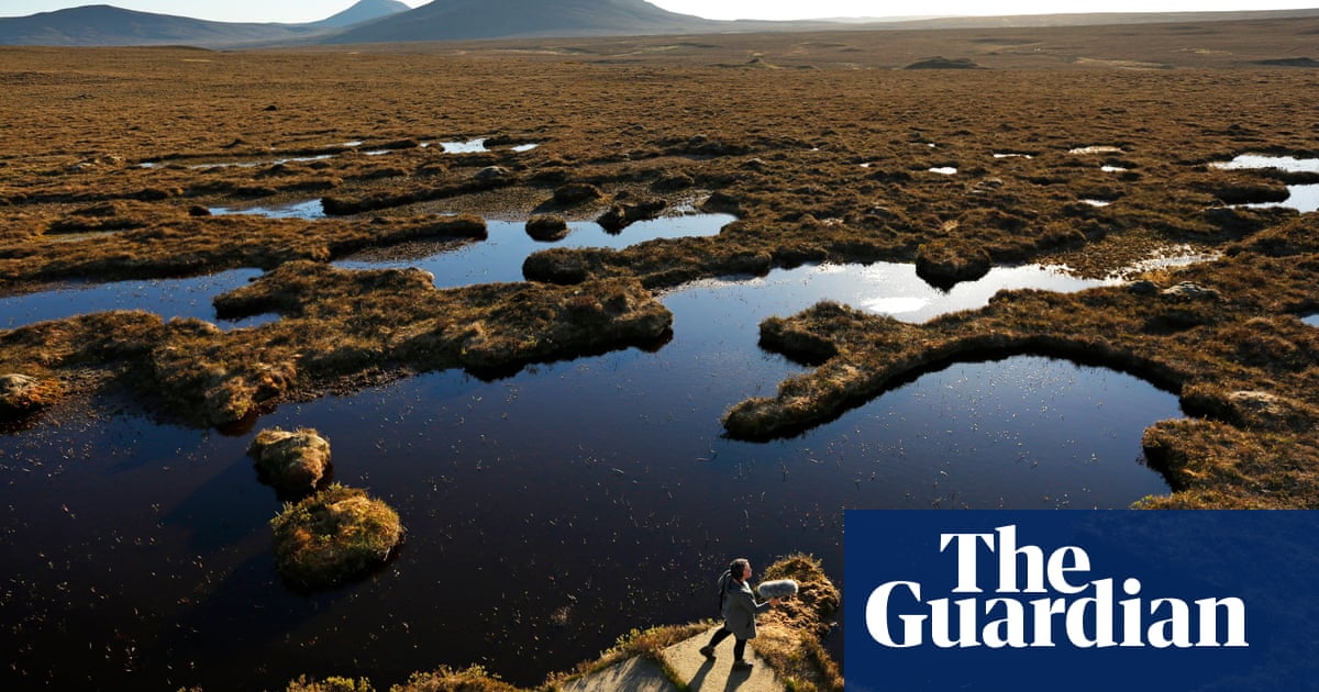 Weatherwatch: restore peat bogs to fight climate change - The Guardian