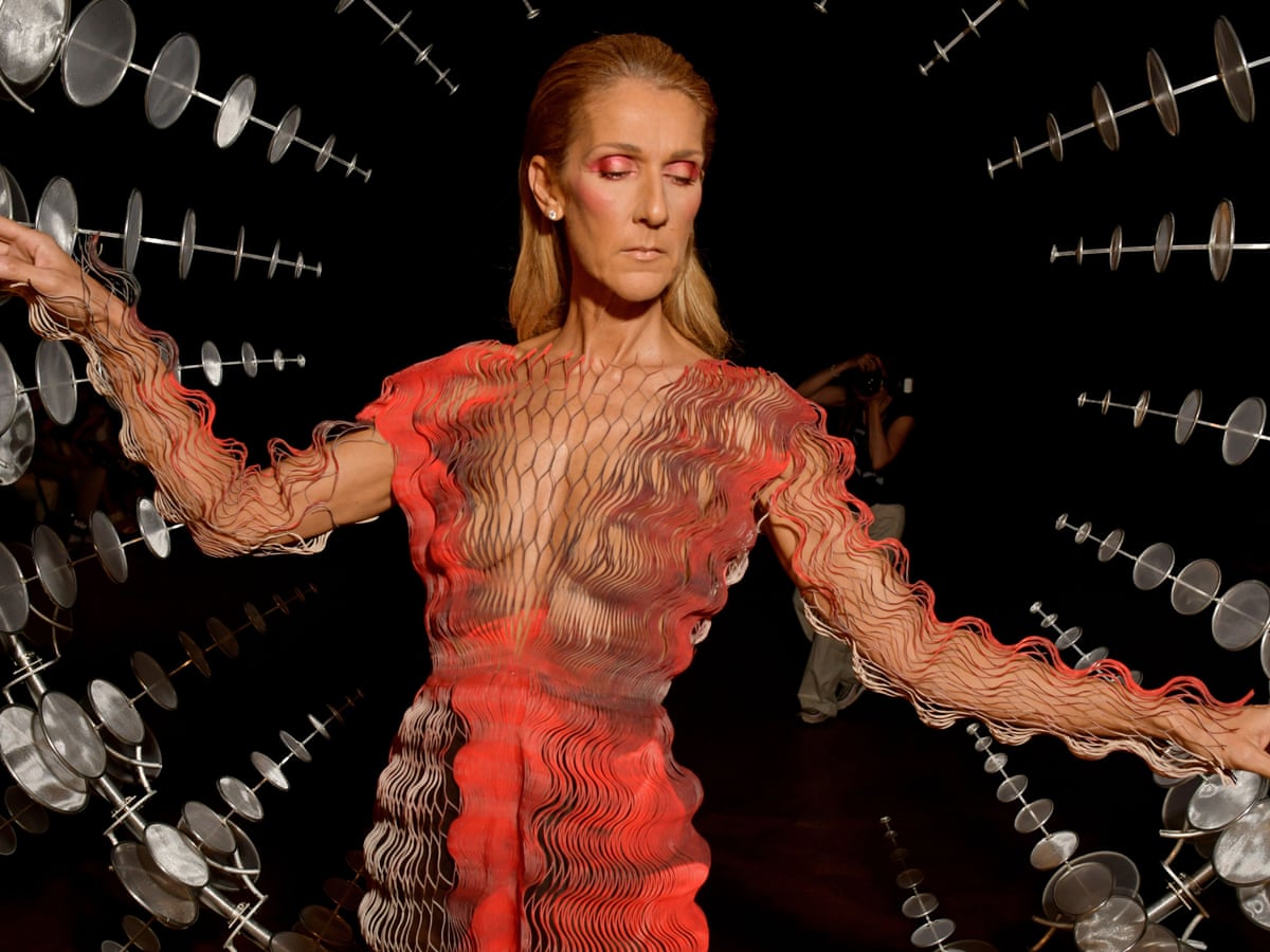 celine dion dress designer Celine Dion Celebrated Elie Saab's Anniversary Show With An Emotional Performance