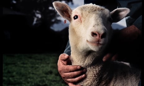 Dolly the sheep in 1997, the year after she was cloned by the Roslin Institute.