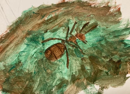 Meg’s depiction of a hibernating wood ant.