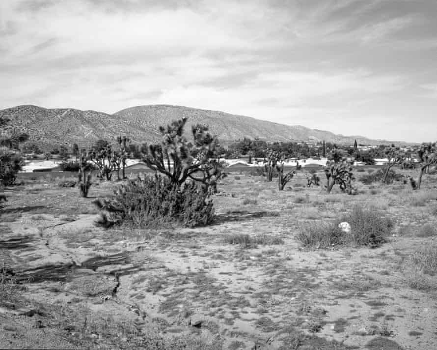 Prairie winds … a desert scene.