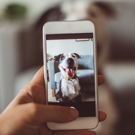 A hand holds a mobile phone with a picture of a dog with its tongue out