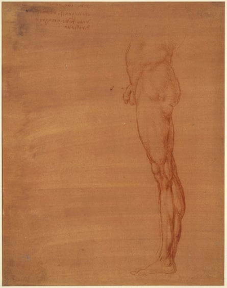 Léonard de Vinci, L'abdomen et la jambe gauche d'un homme nu debout de profil Sanguine, sur papier préparé rouge orangé, v.  1506-1510