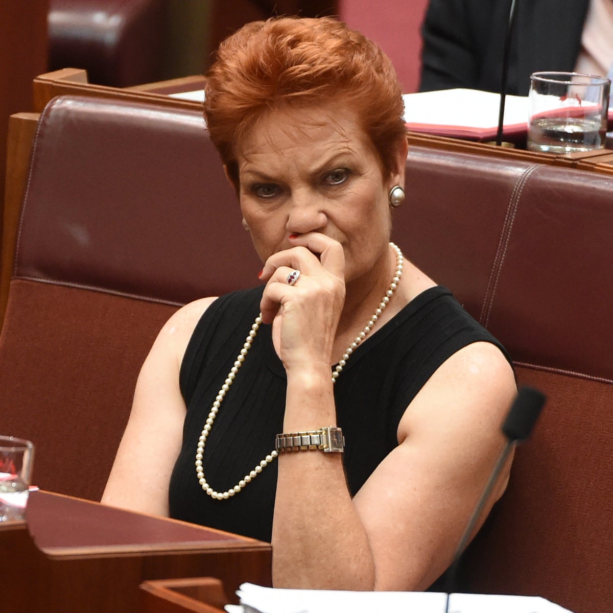 Hanson 'so angry' as backpacker tax fallout exposes One Nation tensions | Pauline Hanson | The Guardian