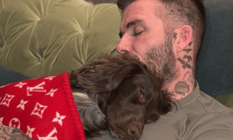 Swaddled by David Beckham in a £5,000 blanket – does this dog have