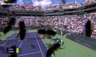 Bee invasion forces Alcaraz and Zverev off the court at Indian Wells - video