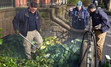 three men look at garden on NY street