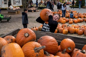 A young boy struggles to lift his chosen Halloween pumpkin