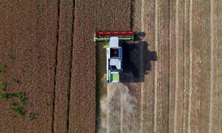 A farmer harvests wheat in a field near the Ukrainian city of Melitopol, Zaporizhzhia region in July 2022.