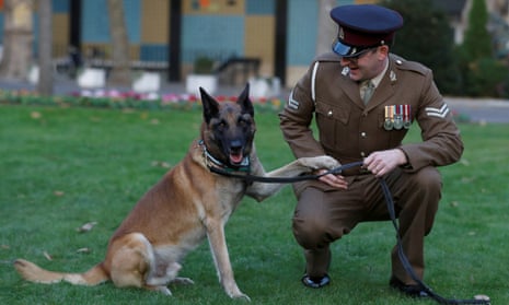 British military working dog Mali poses for a photograph with his handler, Corporal Daniel Hatley, after receiving the PDSA Dickin Medal, the animal Victoria Cross, on 17 November.
