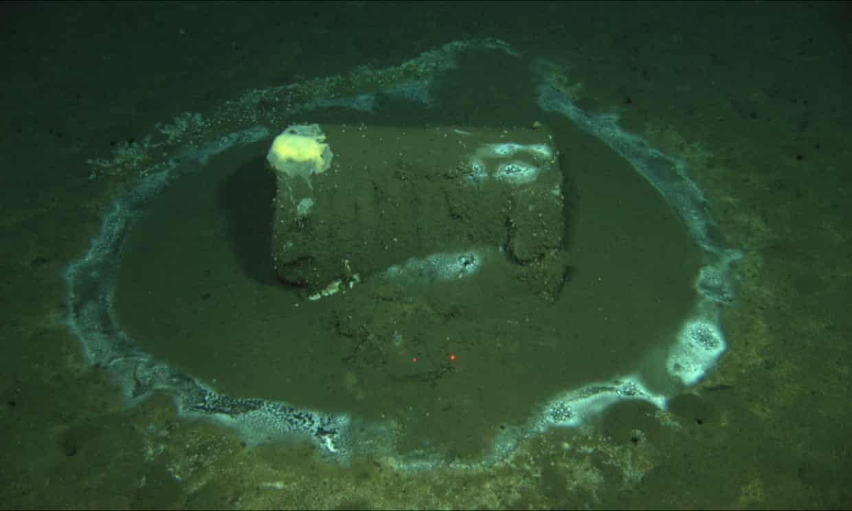 High concentrations of DDT found across vast swath of California seafloor (theguardian.com)